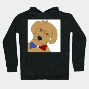 Dog knot france Hoodie